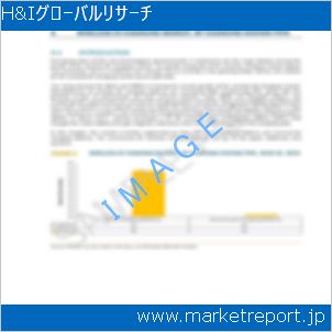 市場と産業調査レポートのイメージ